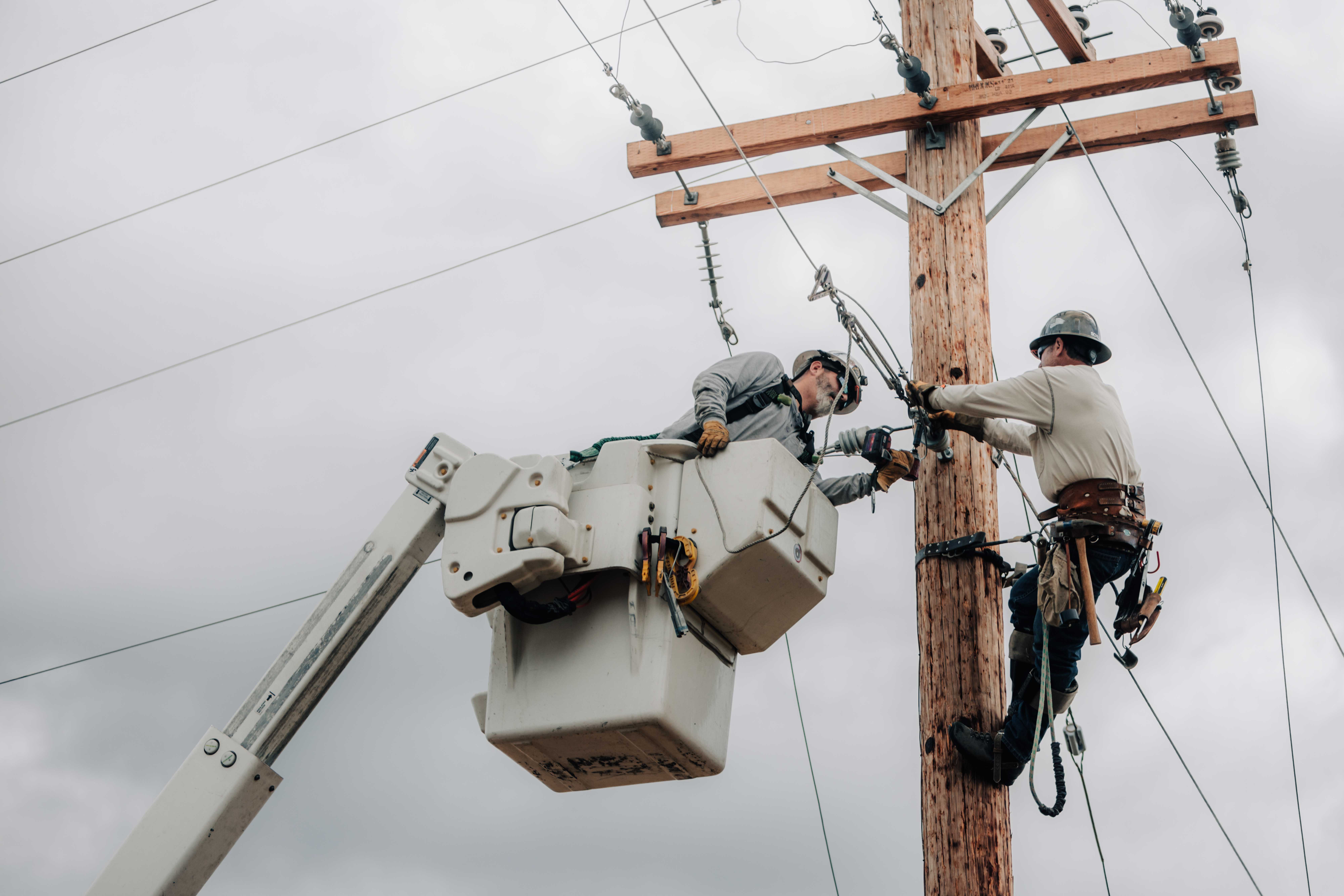 Utility workers assessing fallen power pole